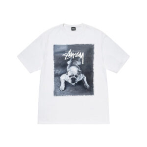 STUSSY BULLDOG TEE